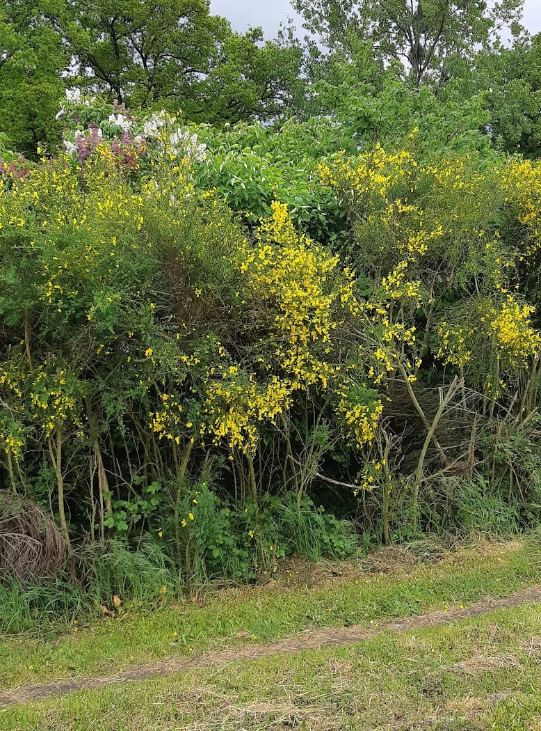 Departure greenway Bressuire Parthenay 2